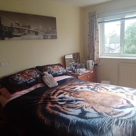Hotel 216 Glyn Eiddew Cardiff Zewnętrze zdjęcie
