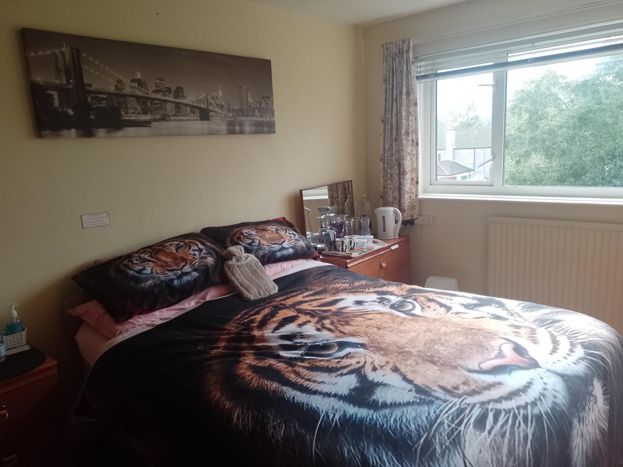 Hotel 216 Glyn Eiddew Cardiff Zewnętrze zdjęcie