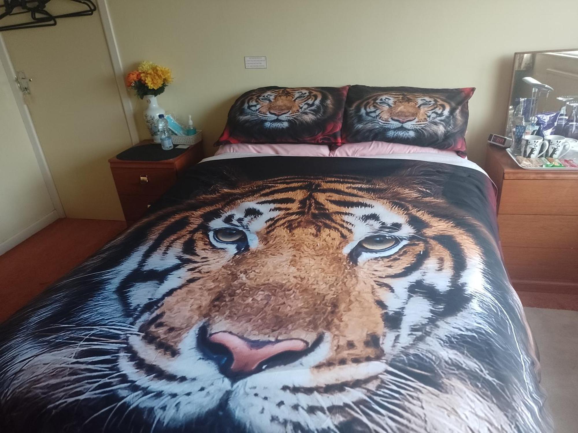 Hotel 216 Glyn Eiddew Cardiff Zewnętrze zdjęcie
